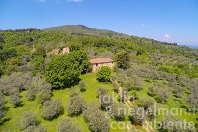 627b70a1b678fm242415