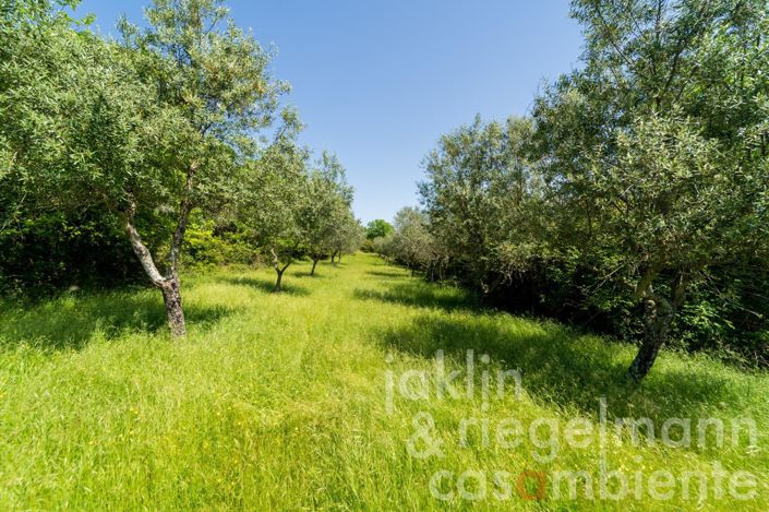 Image No.31-6 Bed Country House for sale