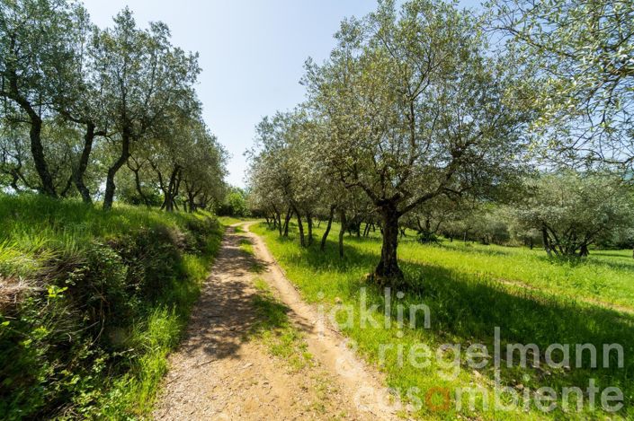 Image No.37-6 Bed Country House for sale