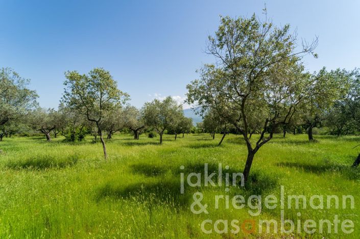 Image No.39-6 Bed Country House for sale