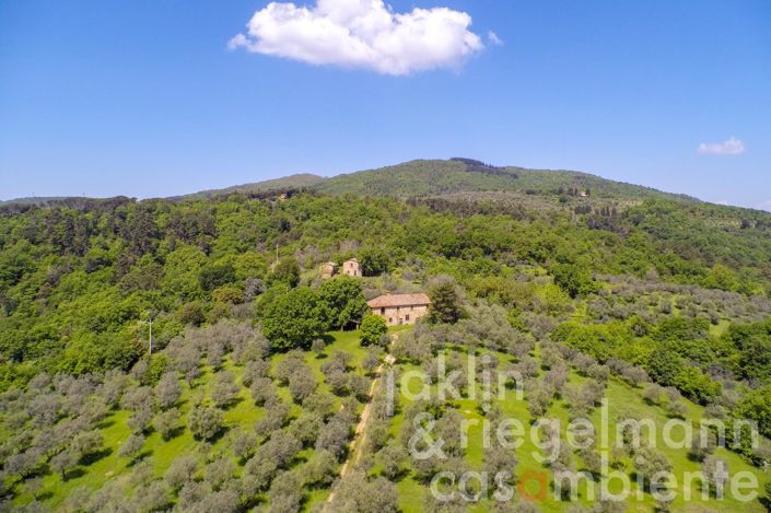 Image No.4-6 Bed Country House for sale