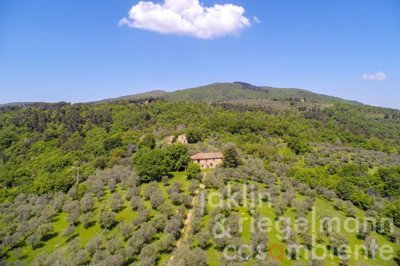 627b707957a75m242404