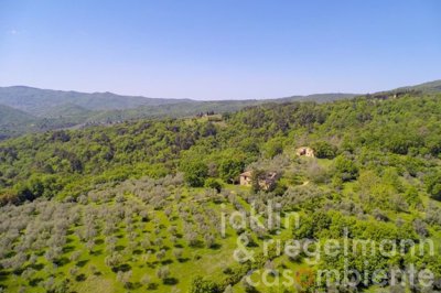 627b7080899c0m242406