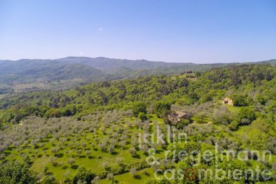 627b70840dff0m242407