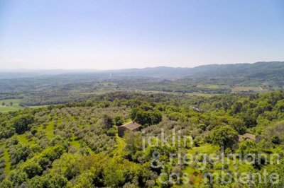 627b708b341f9m242409