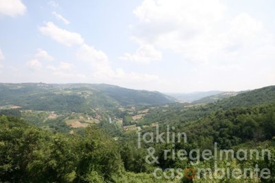 5c811b2bc12d4m248114