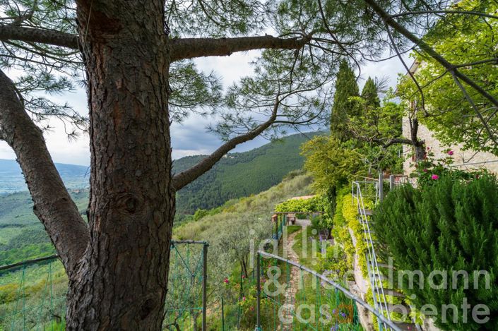 Image No.8-3 Bed Country House for sale