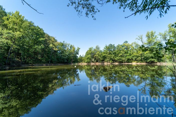 Image No.40-11 Bed Farmhouse for sale