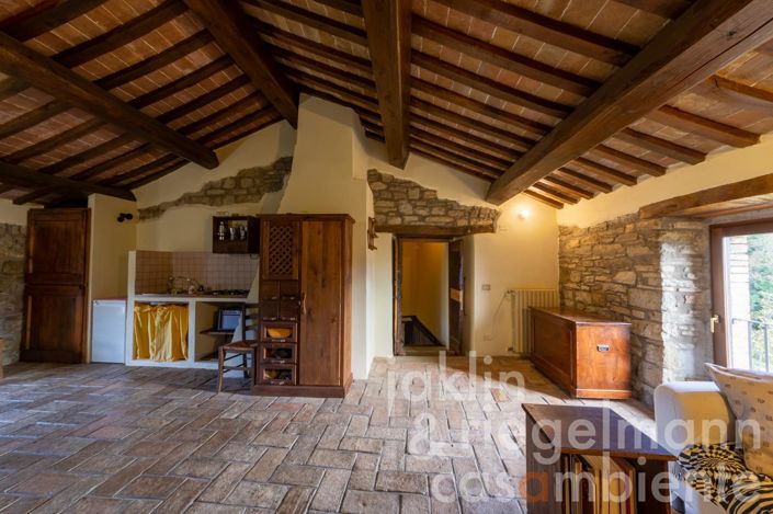 Image No.44-5 Bed Country House for sale