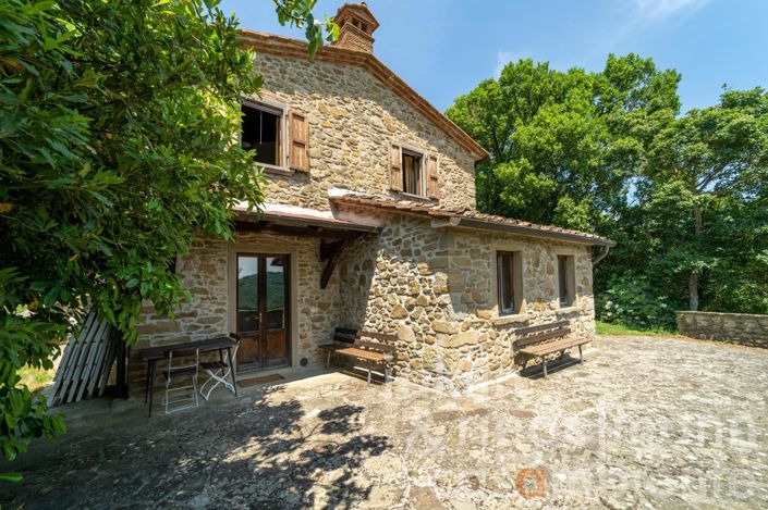 Image No.50-9 Bed Country House for sale