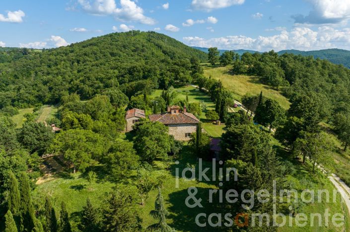 Image No.6-9 Bed Country House for sale