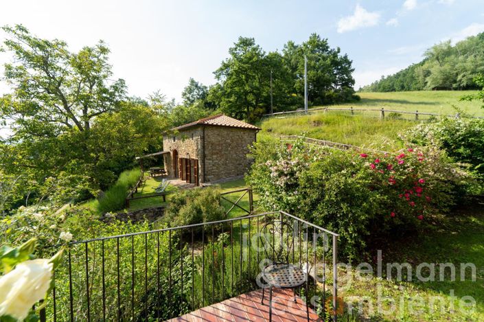 Image No.43-10 Bed Farmhouse for sale