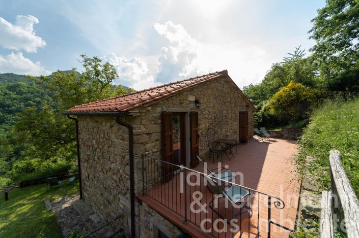 Image No.47-10 Bed Farmhouse for sale