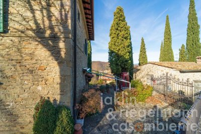 6208e9e55f96cm343611