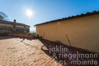 63fcddc1ce365m343818