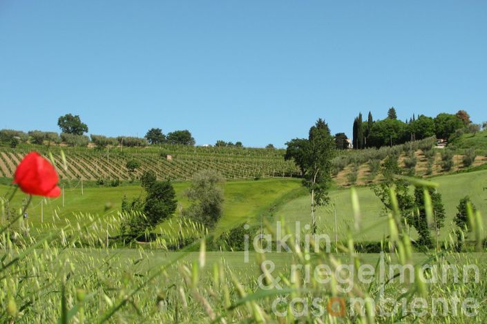 Image No.11-9 Bed Country House for sale