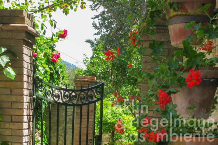 Image No.16-9 Bed Country House for sale