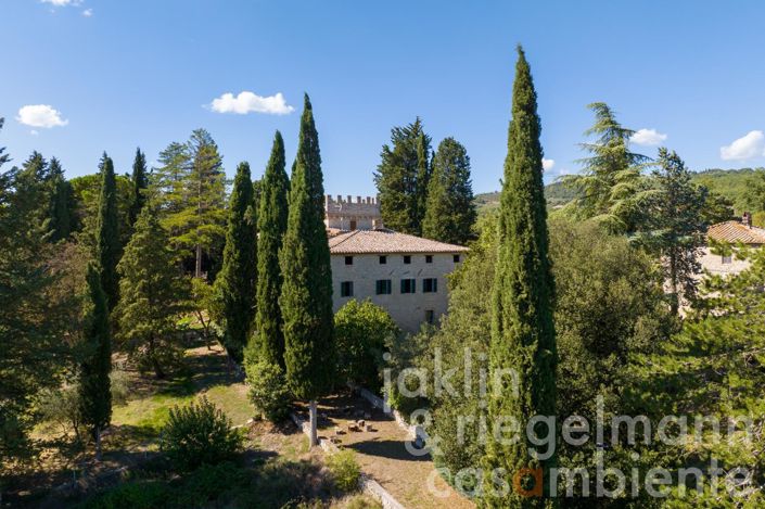 Image No.4-9 Bed Country House for sale