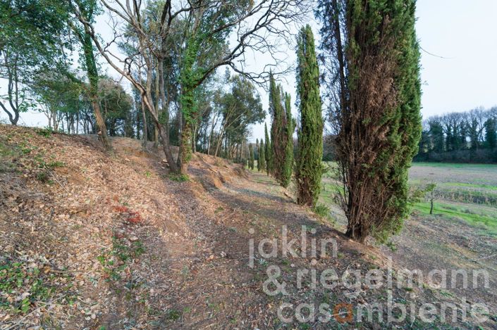 Image No.23-11 Bed Country House for sale