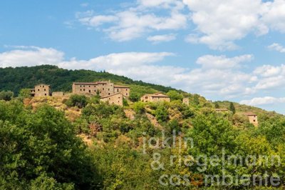 62fa411036d1cm348701