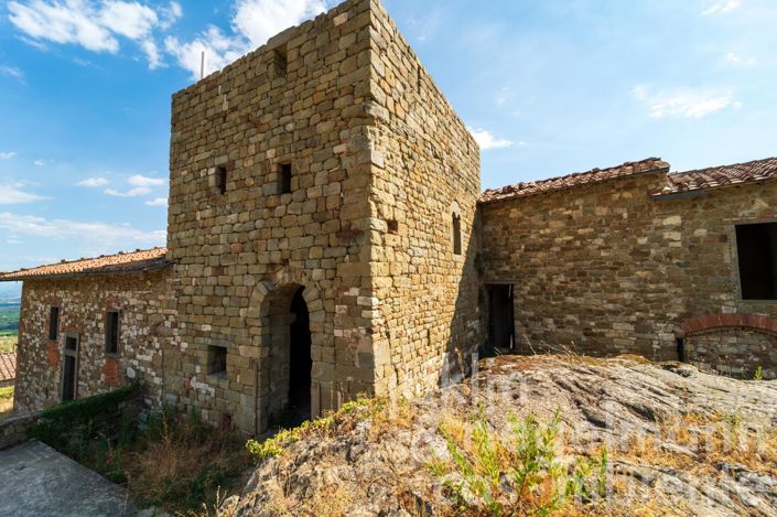 Image No.3-Chateaux for sale