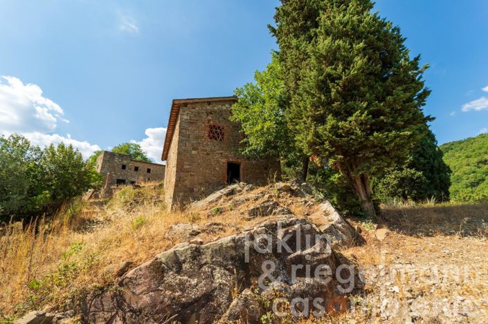 Image No.39-Chateaux for sale