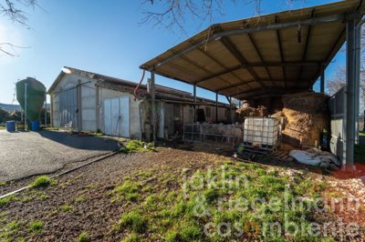 644166614cd38m351913