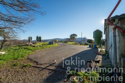 6441667745c7am351915