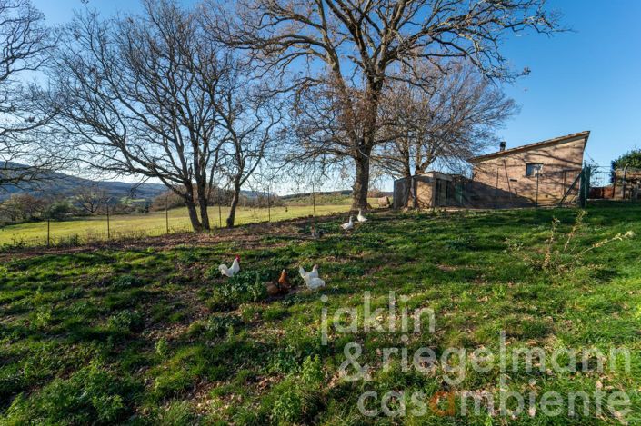 Image No.43-6 Bed Country House for sale