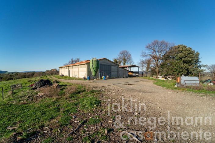 Image No.9-6 Bed Country House for sale