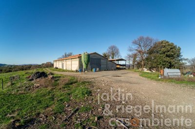 64416638b456em351909