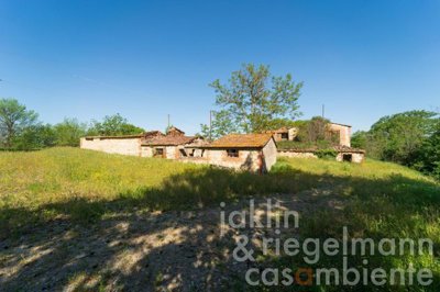 689b161c8fac7m352210