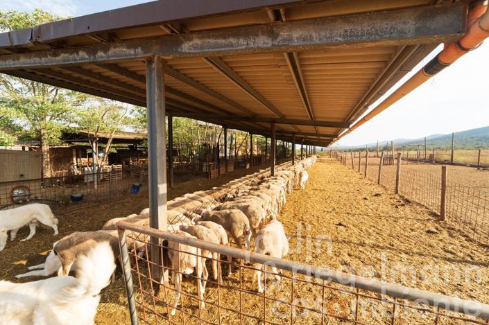 Image No.19-5 Bed Farmhouse for sale