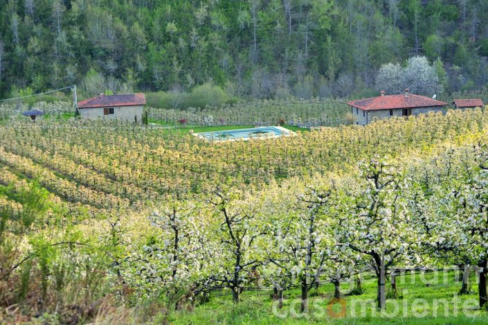 Image No.10-5 Bed Country House for sale