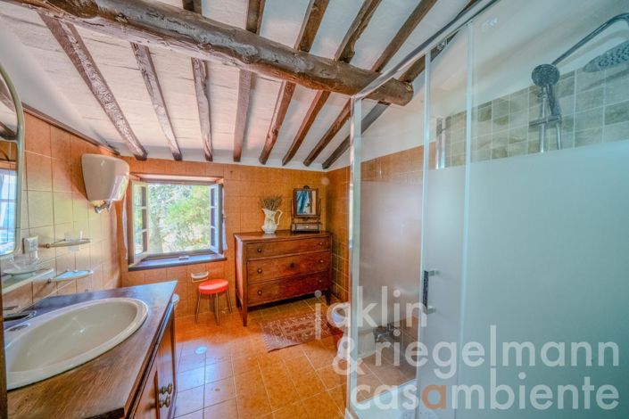 Image No.48-5 Bed Country House for sale