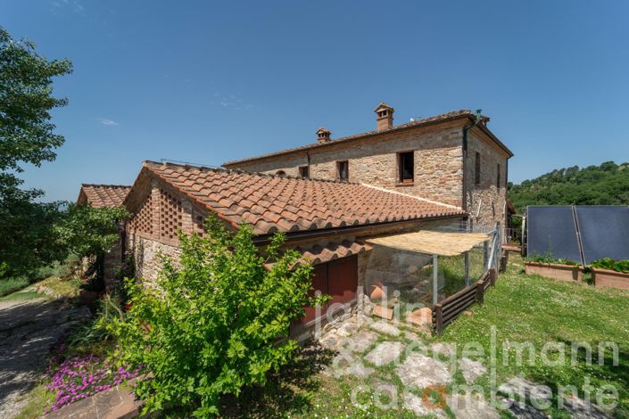 Image No.25-8 Bed Farmhouse for sale