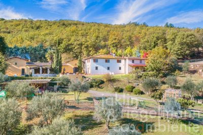 6855a27065bdbm362505