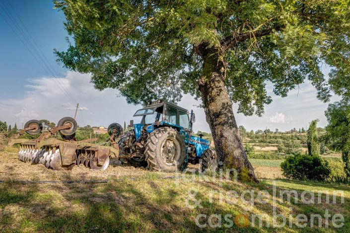 Image No.17-9 Bed Country House for sale