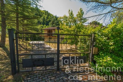 68822395254d5m363005