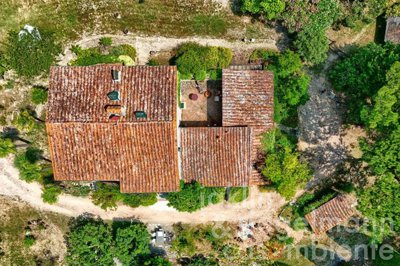 687779f018ef0m363209