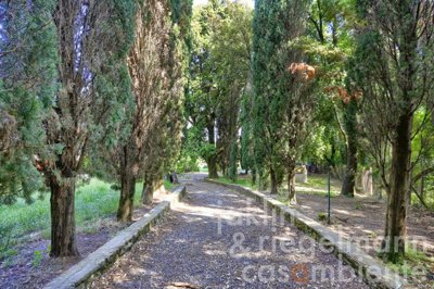 6878ae33ec8a9m363309