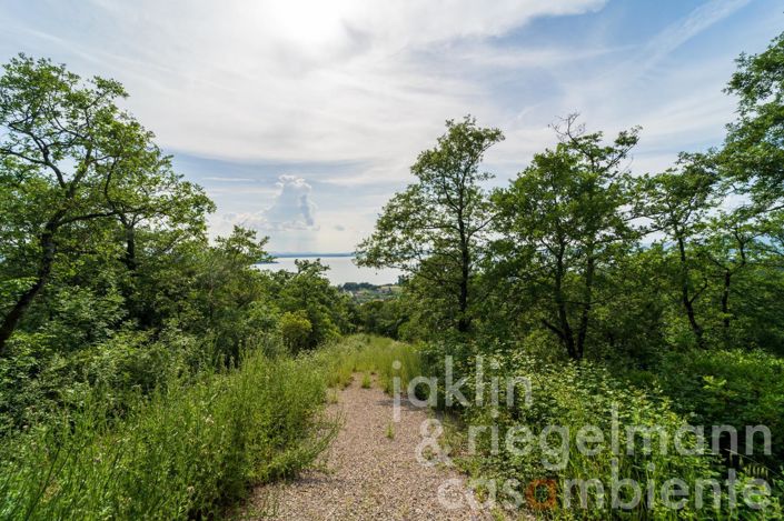 Image No.14-3 Bed Country House for sale