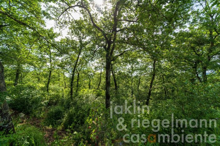 Image No.18-3 Bed Country House for sale