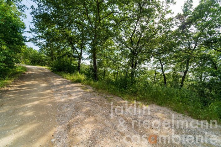 Image No.19-3 Bed Country House for sale