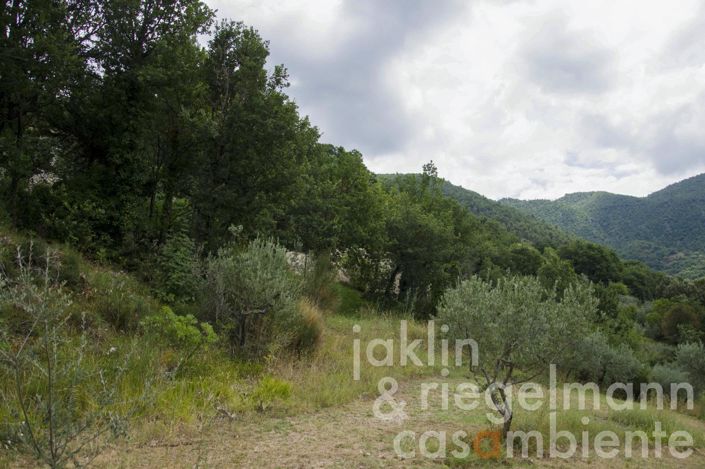 Image No.30-4 Bed Country House for sale