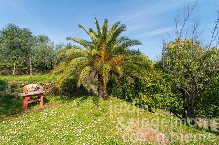 Image No.34-5 Bed Country House for sale