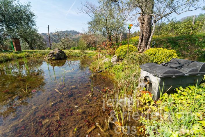 Image No.36-5 Bed Country House for sale