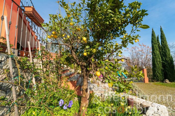 Image No.38-5 Bed Country House for sale