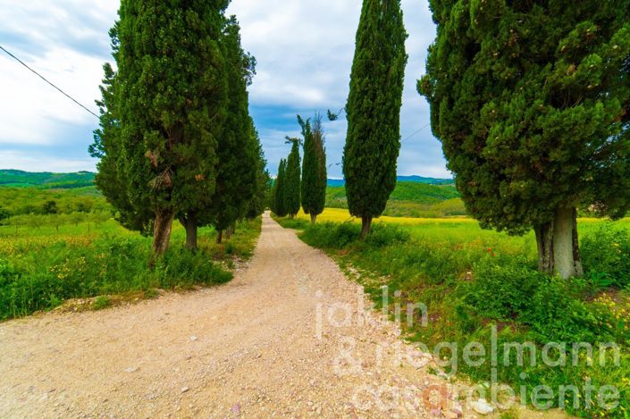 Image No.17-4 Bed Country House for sale