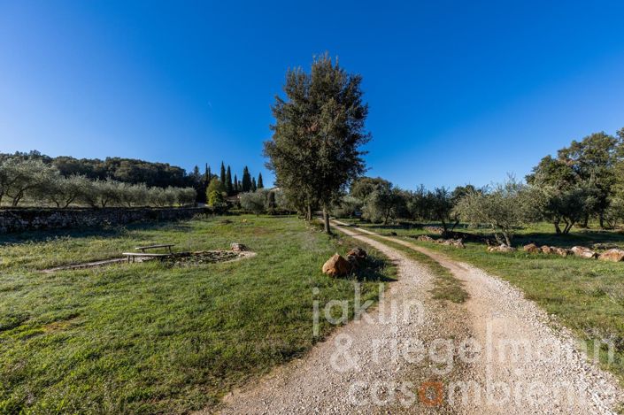 Image No.8-5 Bed Country House for sale